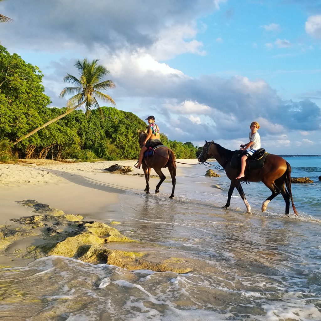 Horseback Riding